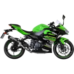 LeoVince One Evo Slip-On Full-Carbon Ninja 400/500 (18->)
