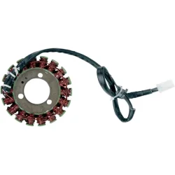 Stator Kawasaki