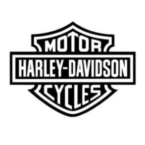 VRSCA 1130 - V-rod (02-06)