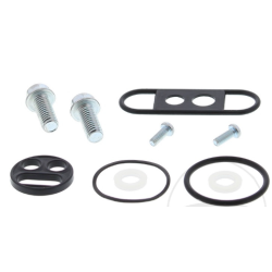 Benzinhane Rep Kit Yamaha