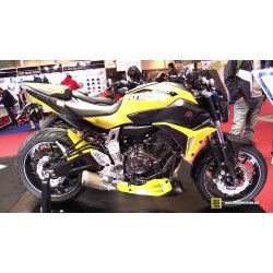 Ermax Radiator Sportsline Covers MT-07 2014-17