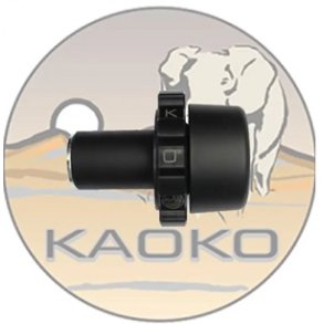 Kaoko Cruise Control