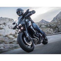 Original Yamaha Hand Guards MT-09