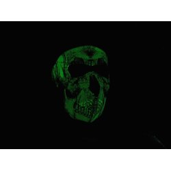 Zanheadgear Neoprene Mask - Skull Glow In Dark