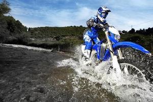 Cross Briller