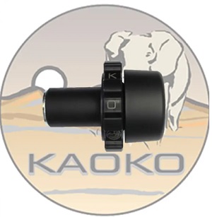Kaoko Cruise Control