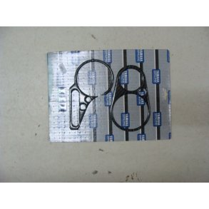 FZs1 / FZs 600/R1 / R6 carbon til instrumentbord