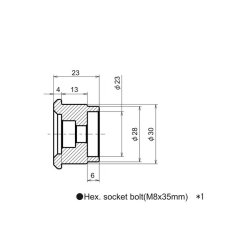 Daytona Styrender Kawasaki