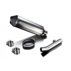Delkevic Slip-on Udstdning Titanium CBR600F (91-98)