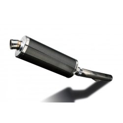 Delkevic Slip-on Udstdning Carbon CBR600F (99-00)