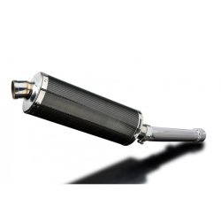 DELKEVIC SLIP ON UDSTDNING Carbon FZS 1000 (00-05)