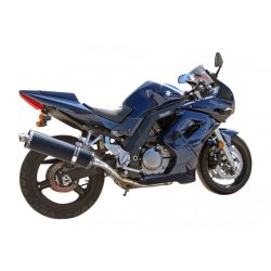 Delkevic Slip-on Udstdning Carbon Lav SV650/S (03-15)
