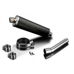 Delkevic Slip-On Carbon Udstdning DR650 (90-95)