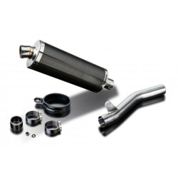 Delkevic Slip-on Udstdning Carbon GSX-R 1000 (01-02)