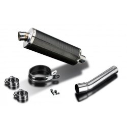 Delkevic Slip-On Carbon Udstdning DR650 (90-95)
