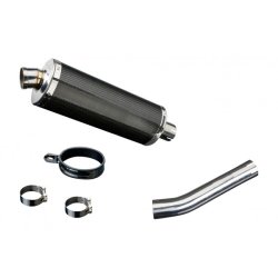 Delkevic Slip-on Udstdning Carbon CBF 500 (04-08)