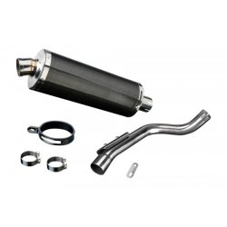 Delkevic Slip-on Udstdning carbon CBF 600 (98-02)