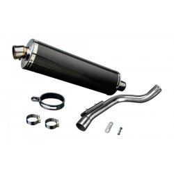 Delkevic Slip-on Udstdning carbon CBF 600 (98-02)