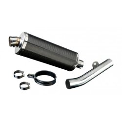 Delkevic Slip-on Udstdning Carbon CBR600F (91-98)