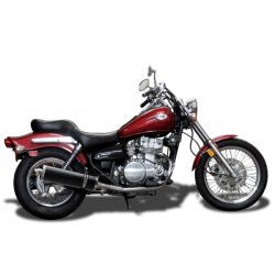 Delkevic Slip-on Udstdning Carbon EN 500 (98-02)