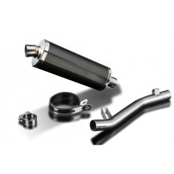 Delkevic Slip-on Carbon Udstdning GSF600 bandit (95-05)