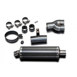 Delkevic Slip-on Udstdning Carbon NT 650 V (88-99)