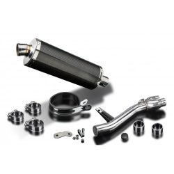 Delkevic Slip-on Udstdning Carbon NT 650 V (98-05)