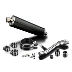 Delkevic Slip-on Udstdning Carbon NT 650 V (98-05)