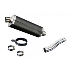 Delkevic Slipon Udstdning Carbon Speed Triple 955 lav (02-04)