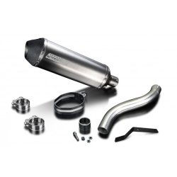 Delkevic Slipon Udstdning Titanium Speed Triple 955 HJ (02-04)