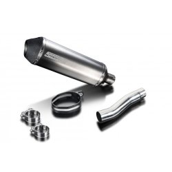 Delkevic Slipon Udstdning Titanium Speed Triple 955 LAV (02-04)