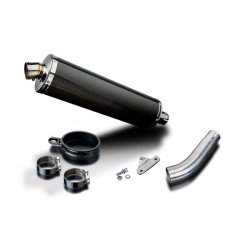 Delkevic Slipon Udstdning Carbon Sprint ST (98-05)