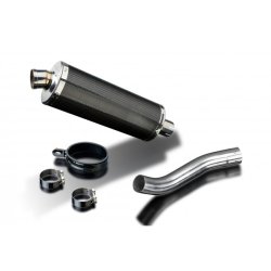 Delkevic Slipon Udstdning Carbon Tiger 900 (99-01)