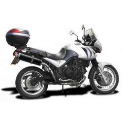 Delkevic Slipon Udstdning Carbon Tiger 900 (99-01)