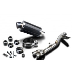 Delkevic Slip-On Udstdning Carbon NT 700 V (06-15)