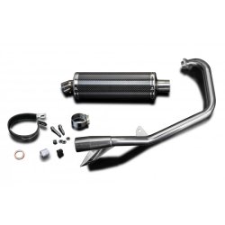 Delkevic Komplet 1-1 Udstdning Carbon YBR 125 (05-16)