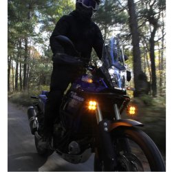 Denali DL4 Hybrid Krelys - Amber