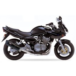 IXIL Hexoval Xtrem Slip-on Udstdning GSF 1200 (00-05)