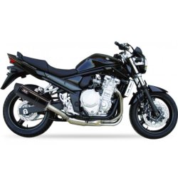 IXIL Hexoval Xtrem Slip-on Udstdning GSF/GSX 1250 (07-15)