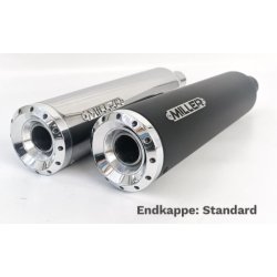 Skyline - Euro 2 slip-on udstdning til Yamaha XV1600