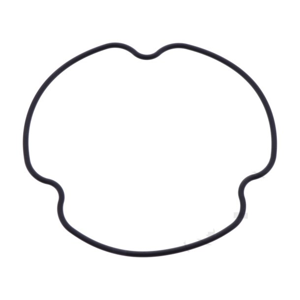 O-ring Suzuki Oliefilter