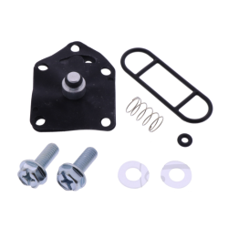 Benzinhane Rep Kit Kawasaki