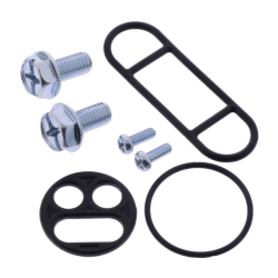 Benzinhane Rep Kit Kawasaki