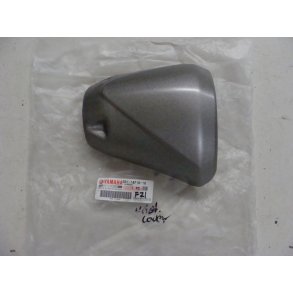 udstdnings cover - Yamaha FZ1