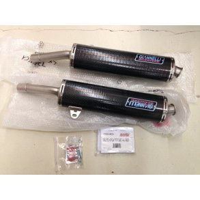 Giannelli Udstdninger - Ducati monster