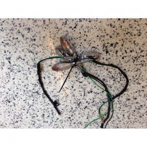 Mini blink chrome - Klar glas