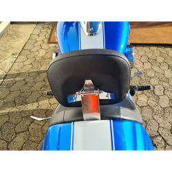 Rygln til fre - Suzuki M1800