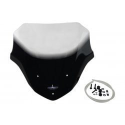 MRA Racing Vindskrm F 800 R (15->)