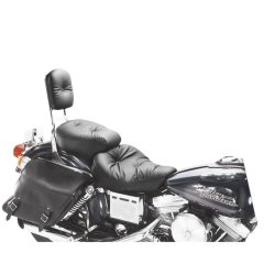 Regal Duke touring Dyna glide