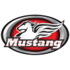 Mustang Seats